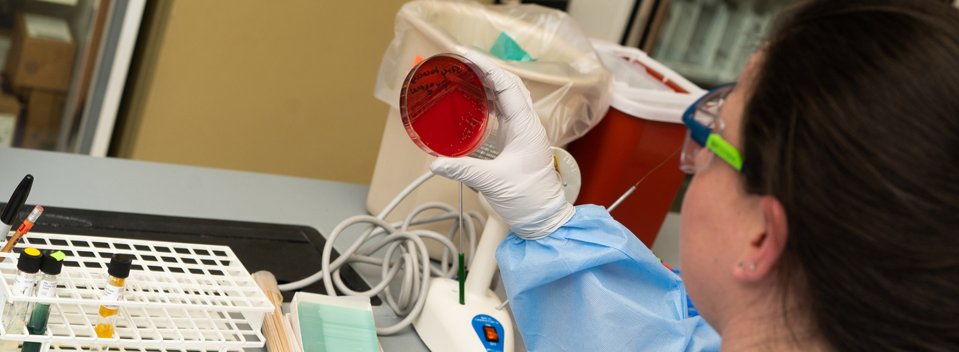 MLS Student working in a lab