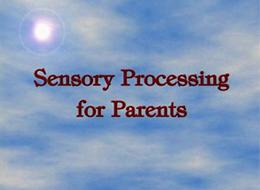 DVD on Sensory Processing for Parents