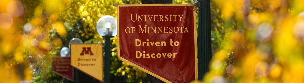 The University of Minnesota Driven to Discover maroon flag is shown against gold leaves.